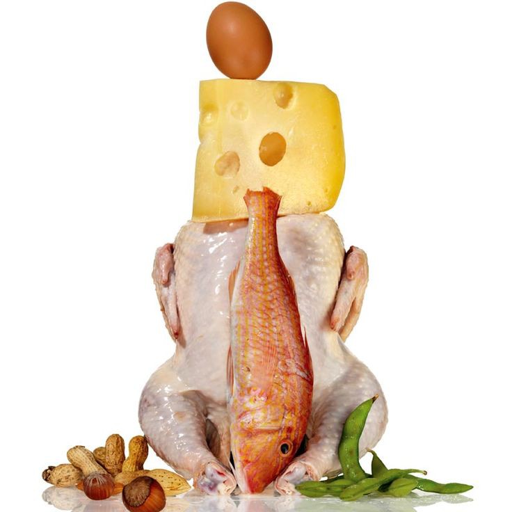 Best protein to build muscles