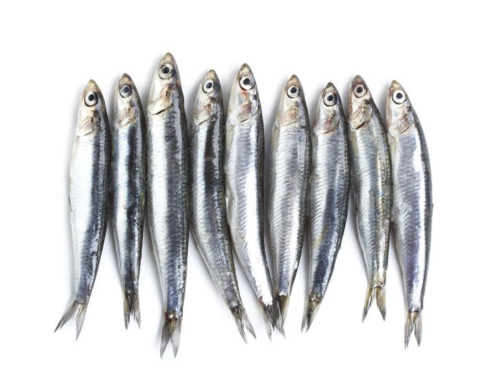 Health benefits of anchovies