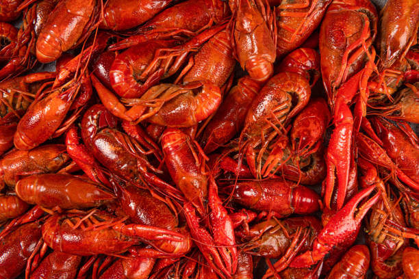 Ground crayfish recipes and health benefits