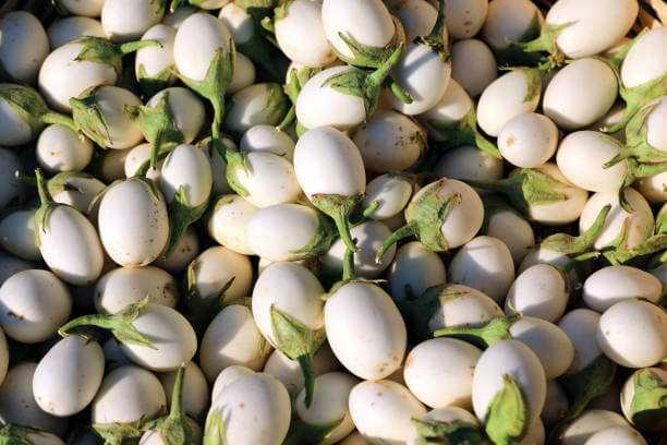 Best ways to cook garden eggs