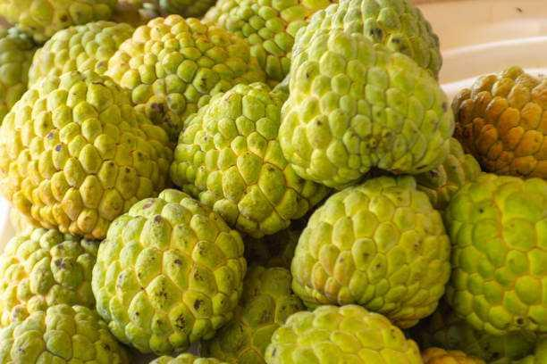 Health benefits of Sweetsop