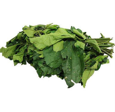 Fresh Ugu Leaves – Nigerian Fluted Pumpkin