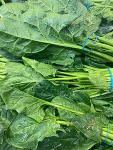 Fresh Spinach Box (10 Bunches)