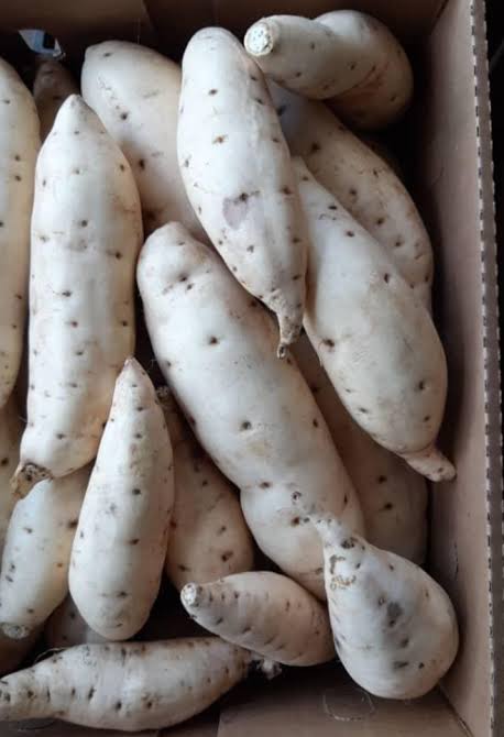 Fresh Sweet White Potatoes 2kg – Naturally Sweet