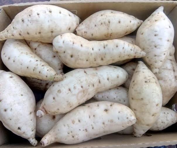 Fresh Sweet White Potatoes 2kg – Naturally Sweet