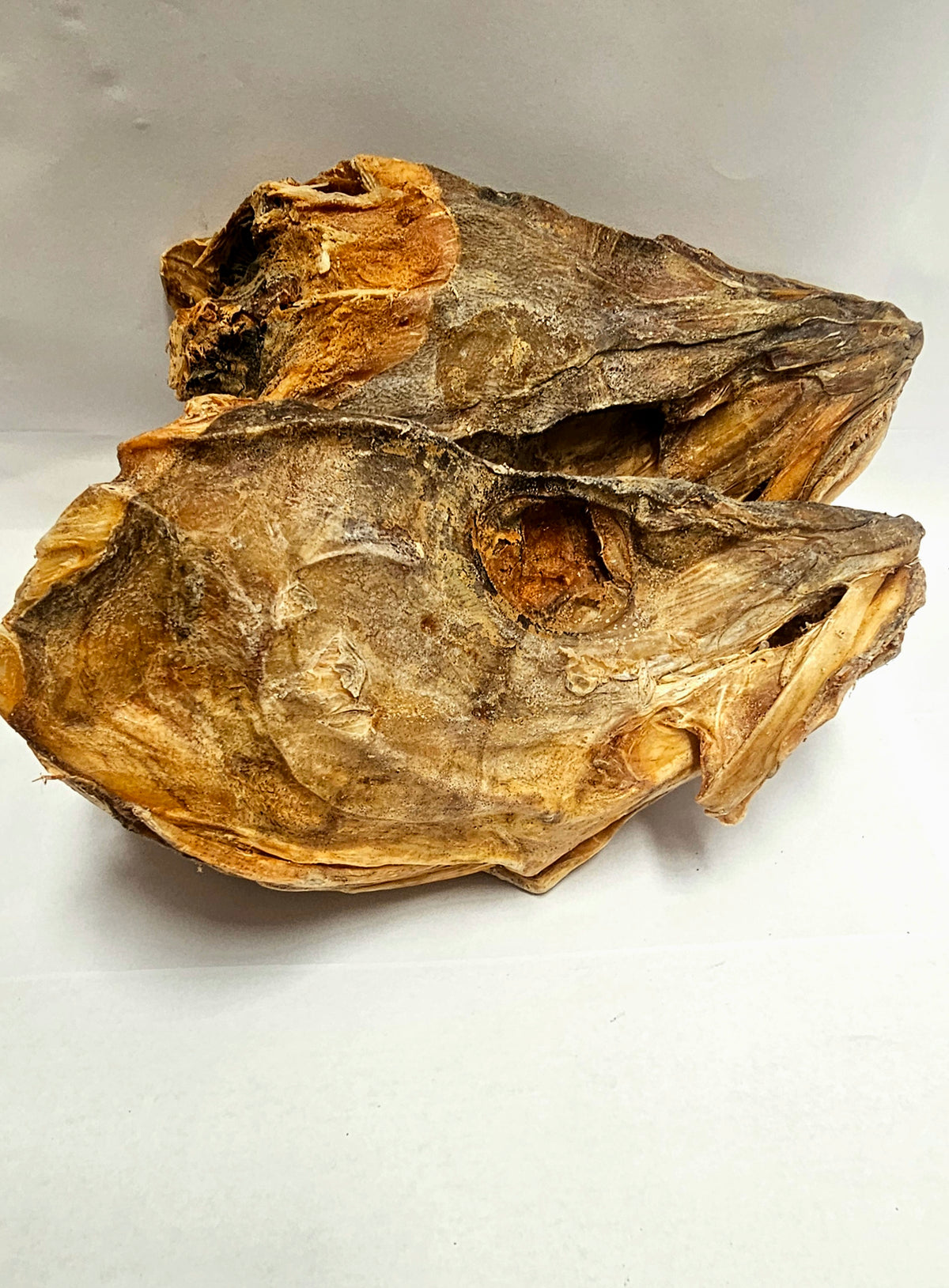 Stockfish Head