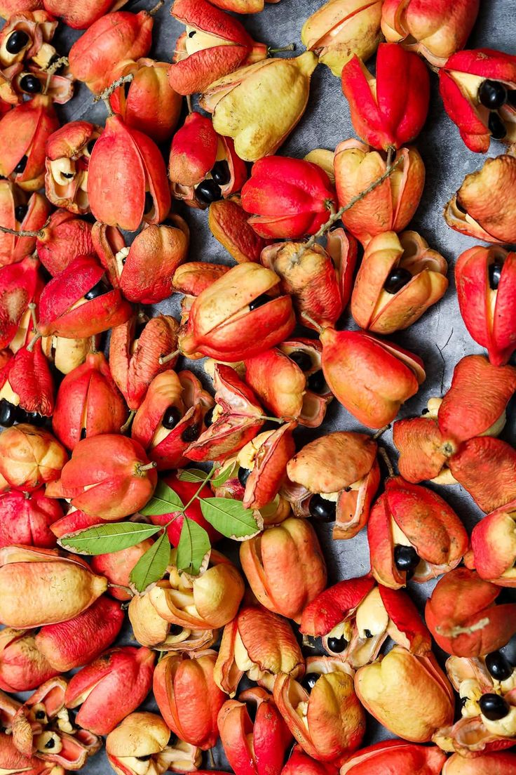 Ackee: Jamaica’s National Fruit and Its Role in Caribbean Cooking