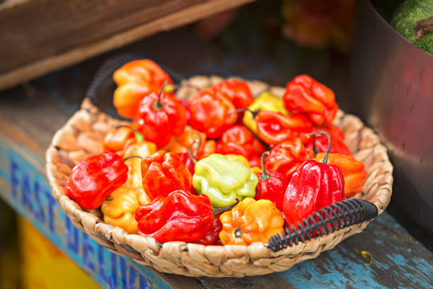 How hot is a scotch bonnet pepper?