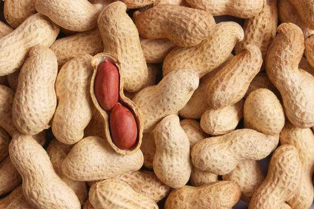 10 health benefits of groundnut