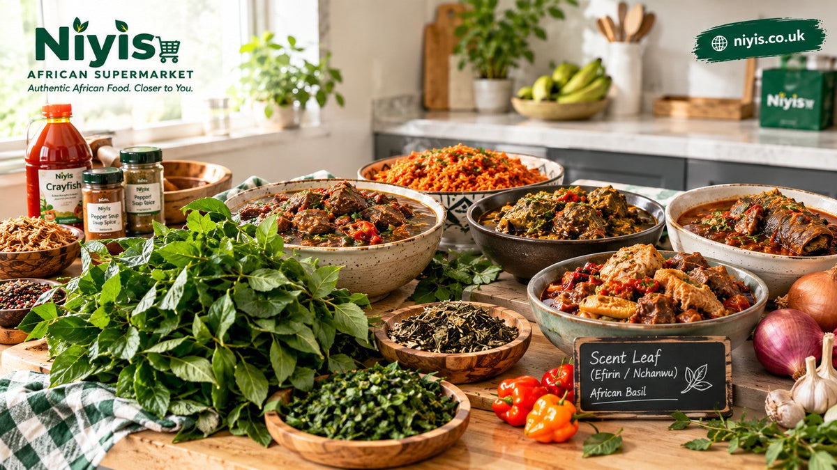 How to Use Scent Leaf in Nigerian Cooking: 7 Traditional Dishes to Try in the UK (2026)