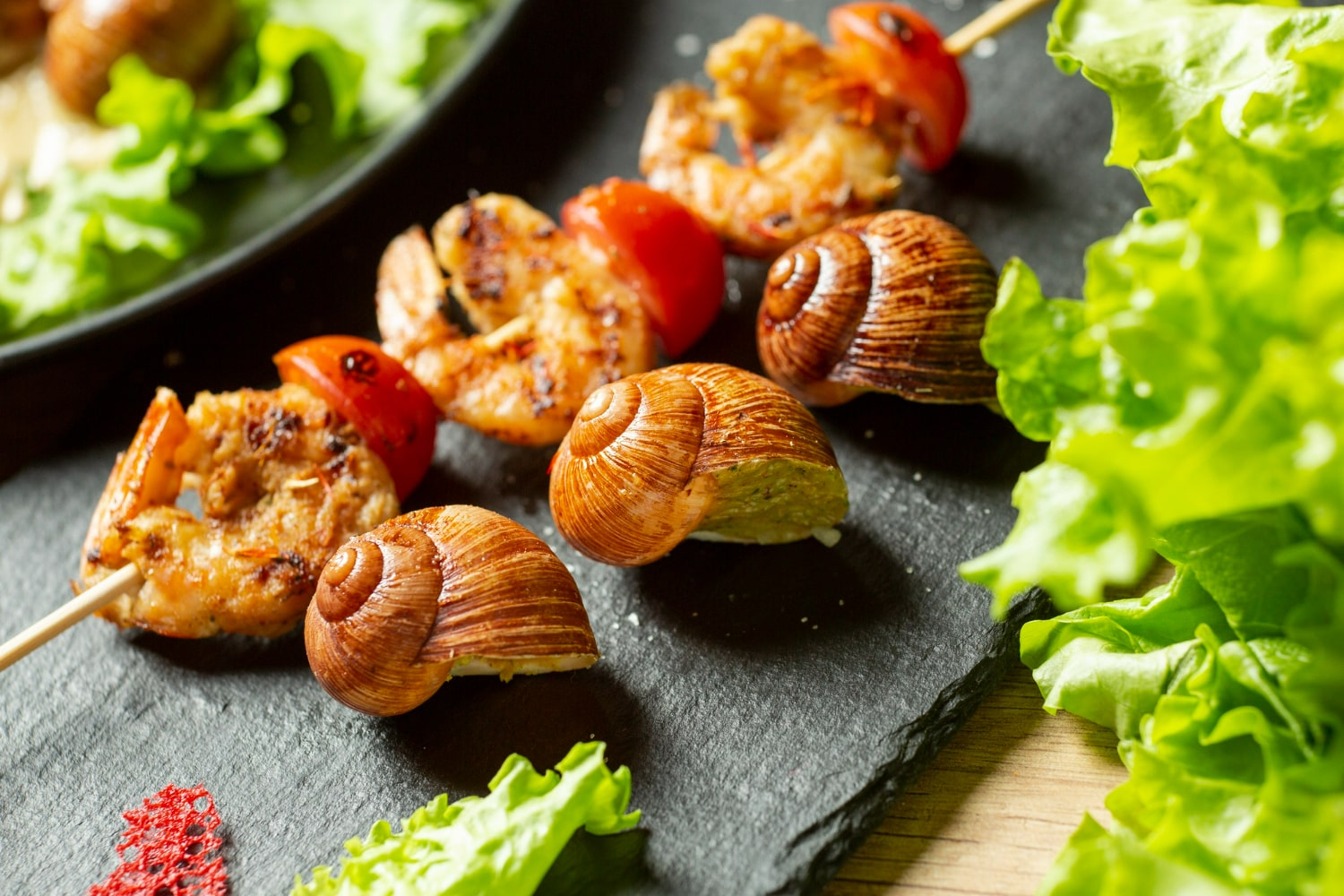 4 Benefits of snails