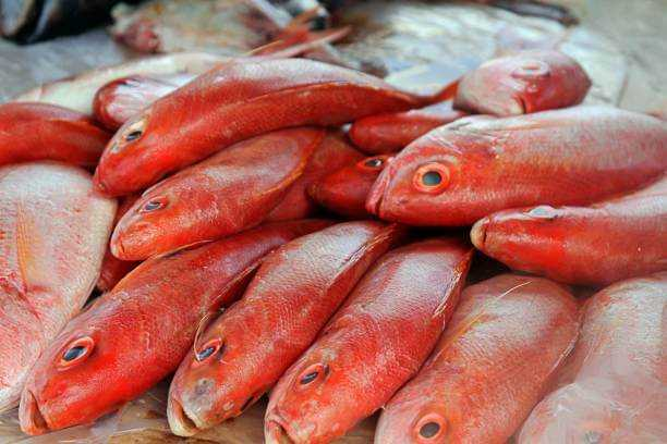 3 Common red snapper fish recipes – Niyis African Supermarket