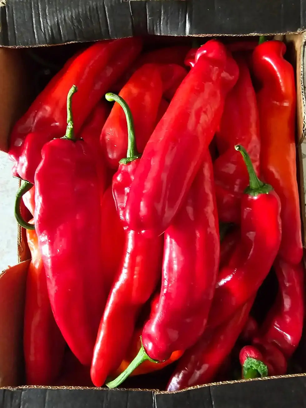 Fresh Sweet Pointed Pepper (Sombo/Long Capsicum) Box 4kg