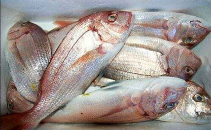 Pargo Congelado Caja 3kg