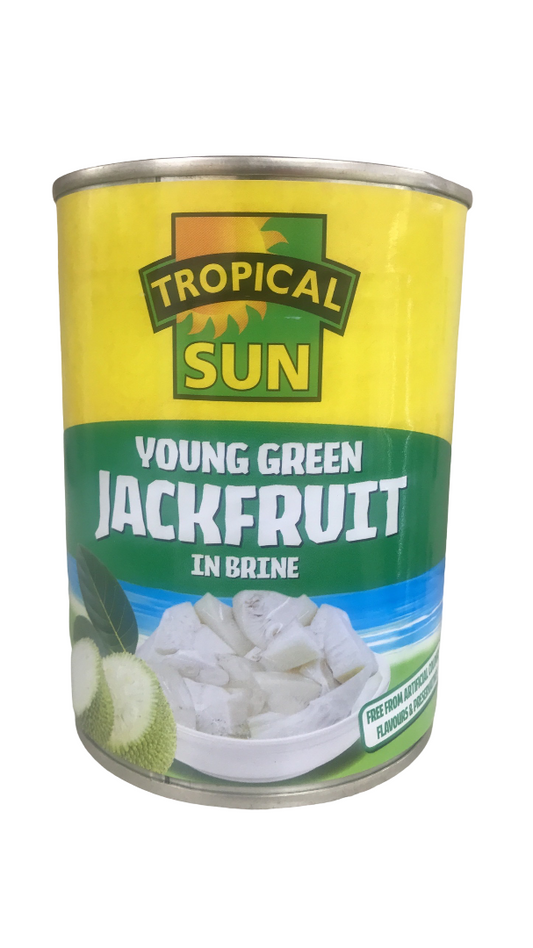 Tropical Sun Young Green Jackfruit In Brine 560G