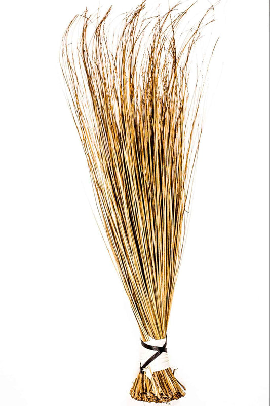 African broom