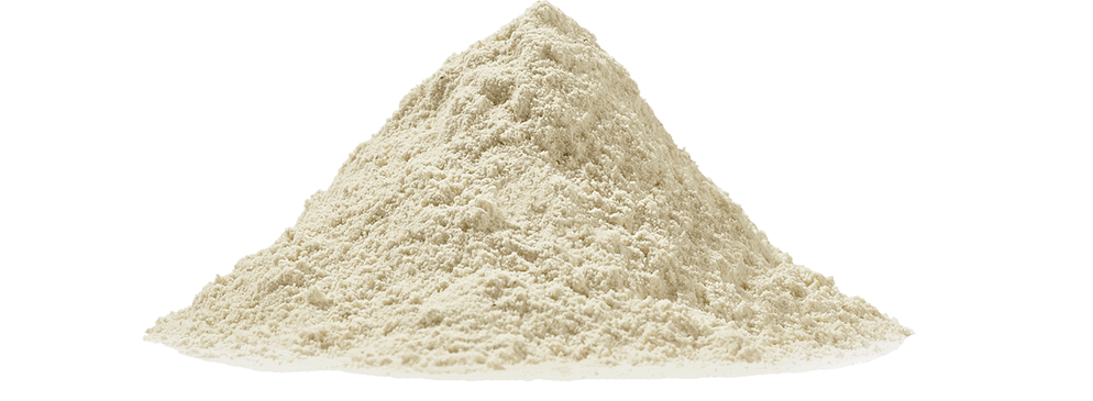 Bean flour
