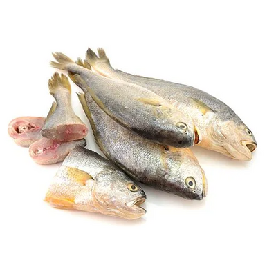 Frozen Croaker Fish 3kg