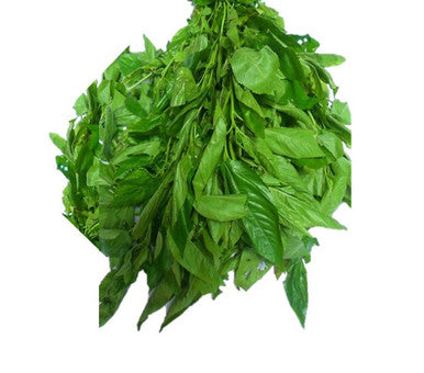 Fresh Ewedu / Molakhia  Leaves