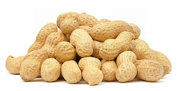 Fresh peanut groundnut 1kg box — premium quality for snacking and cooking