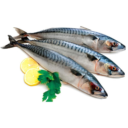 Frozen Mackerel (Titus) Fish Pack 2kg