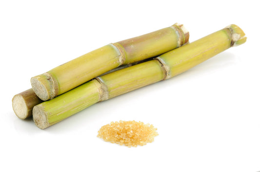 Fresh Sugar Cane