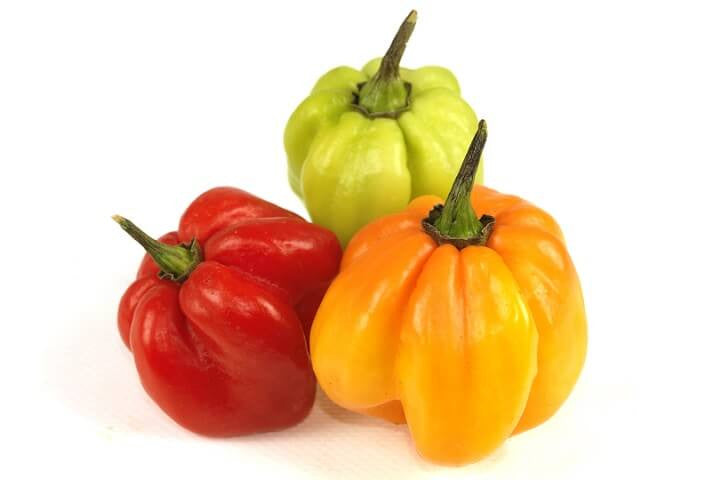 Scotch Bonnet