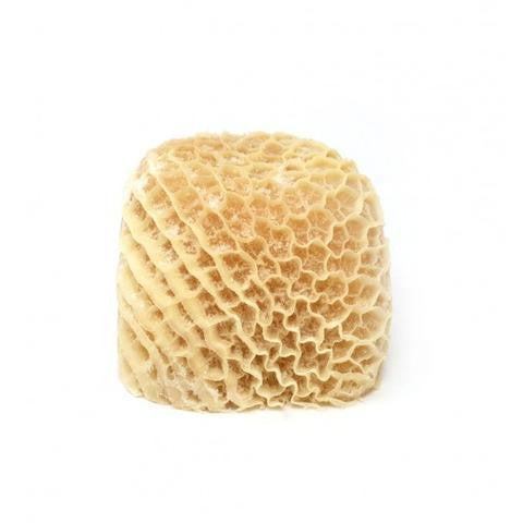 HoneyComb Shaki