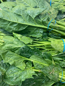 Fresh Spinach Box (5 Bunches)