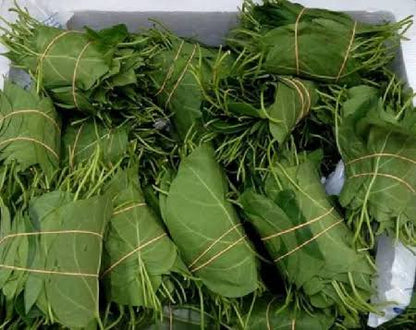 Fresh Utazi Leaves Box (10 Bunches)