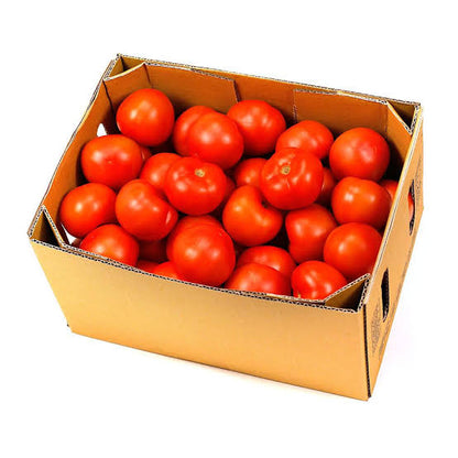 Frische Tomaten