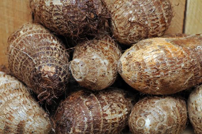 Frisches Cocoyam (Taro/Dasheen) 1 kg