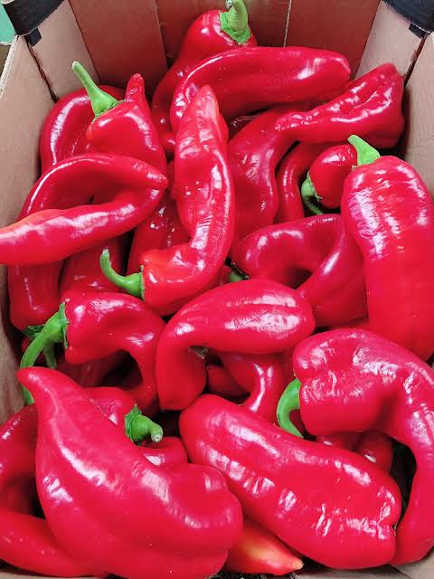 Fresh Sweet Pointed Pepper (Sombo/Long Capsicum) Box 4kg