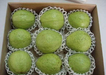 Fresh Guava  1kg