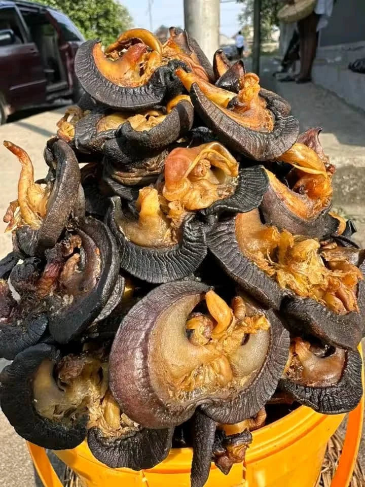 Niyis Dried Snail 200g