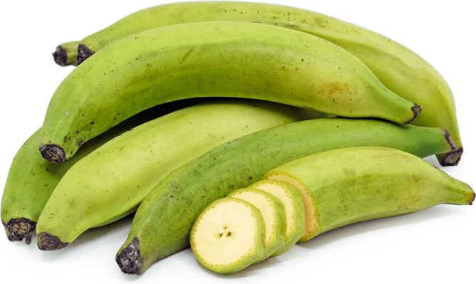 Fresh Unripe Plantain