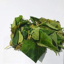 Fresh Utazi Leaves Box (10 Bunches)